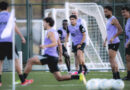 O Galo voltou, isso é uma ameaça ou uma felicidade?