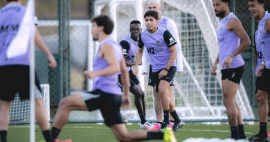 O Galo voltou, isso é uma ameaça ou uma felicidade?