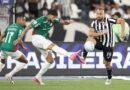 Palmeiras empata com Botafogo e perde liderança
