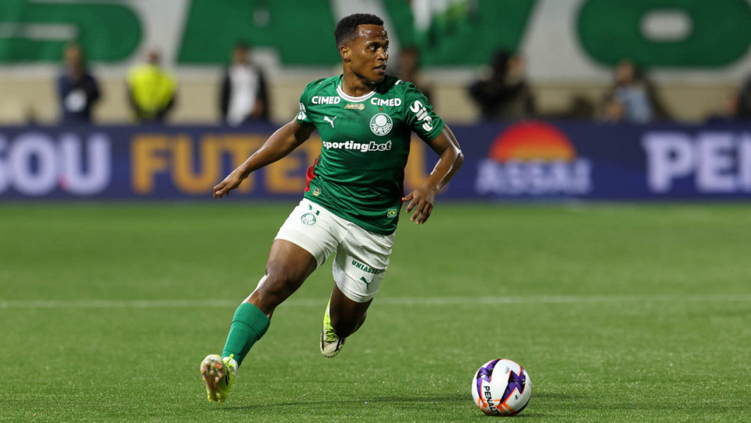 Cesar Greco/Palmeiras