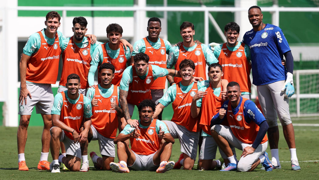 Cesar Greco/Palmeiras