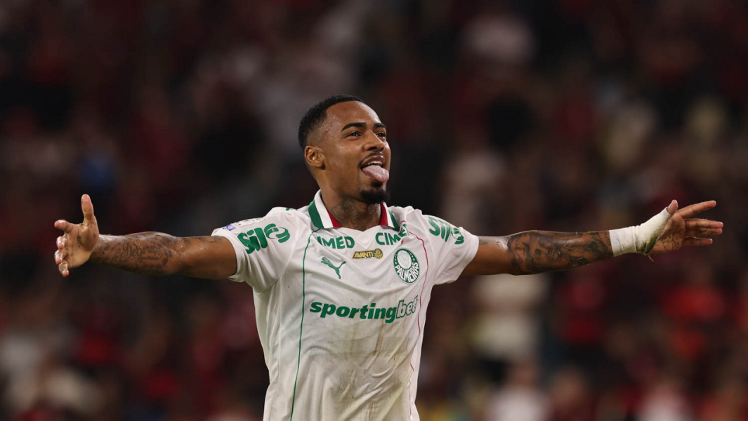 Cesar Greco/Palmeiras