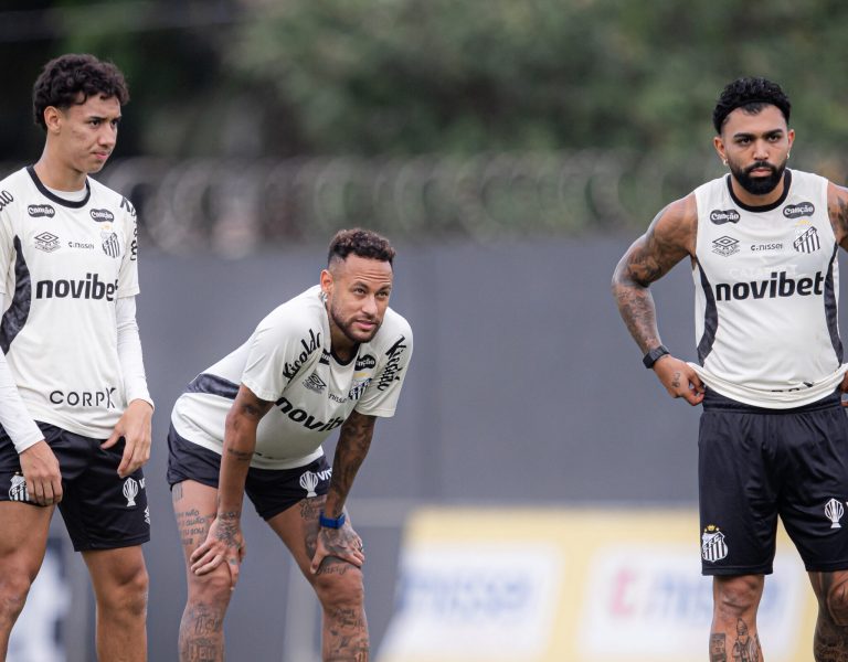 RAUL BARETTA/SANTOS FC