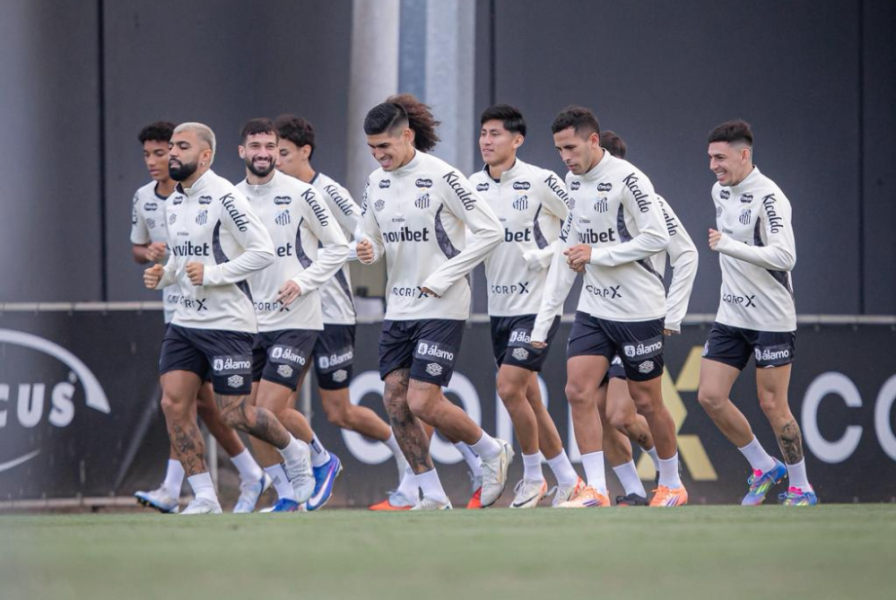 Foto: Raul Baretta/Santos FC