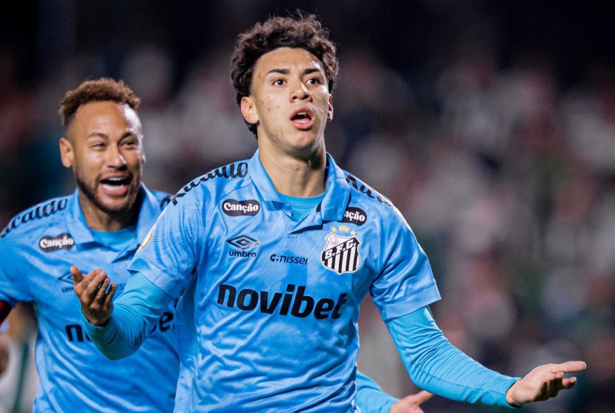Foto: Raul Baretta/Santos FC
