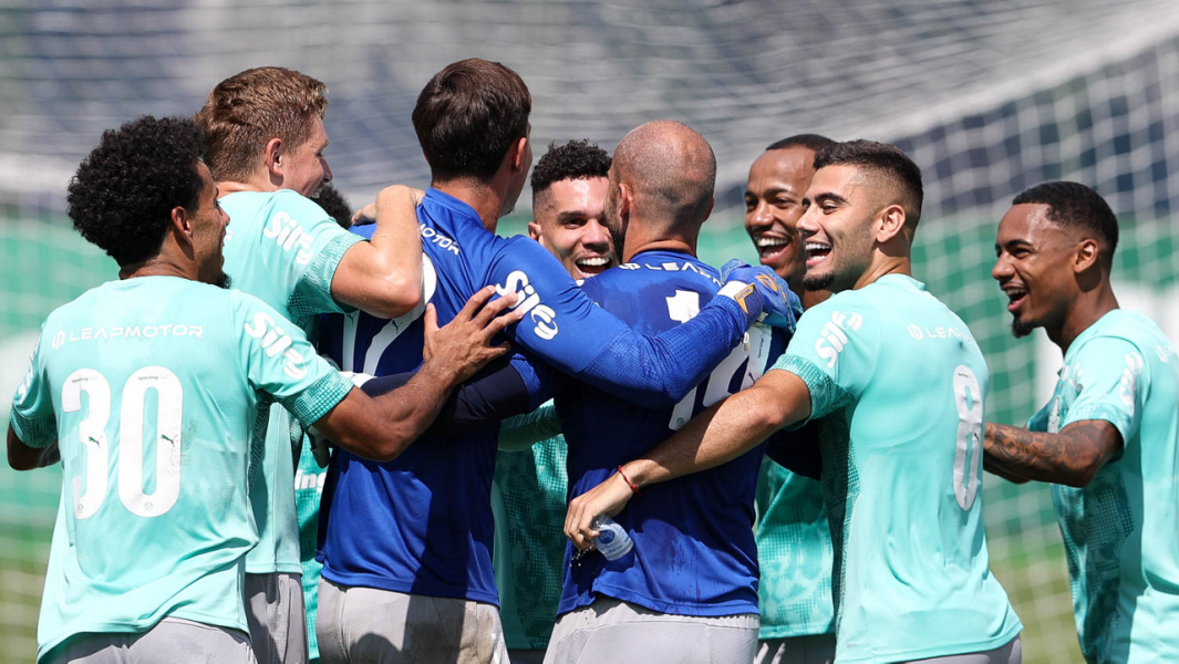 Cesar Greco/Palmeiras